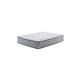 M63031 - Ashley Mt Rogers Mattress Queen Size 60 in.