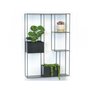 Wall frame for plants