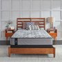 Sealy Archibald Mattress Twin Size 39-in.