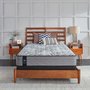 Sealy Archibald Mattress Full Size 54 in.