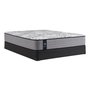 Sealy Archibald Mattress Twin XL Size 39 in.