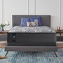 Sealy Pacific Rim Mattress Queen Size 60-in.