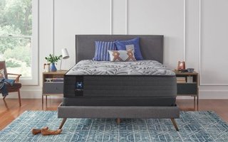 Sealy Pacific Rim Mattress Twin Size 39-in.