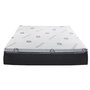 Eagle Accent Pedic Mattress Twin Size 39 in.