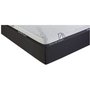 Eagle Accent Pedic Mattress Queen Size 60 in.
