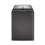 GE Profile Top Load Washer - PTW600BPRDG