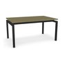 Zoom Table by Amisco