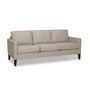 Customizable Sofa by Palliser