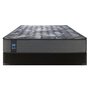 Sealy Mariella Mattress Firm Queen Size 60 in.