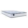 Aveline Sealy Mattress Medium Queen Size 60 in.