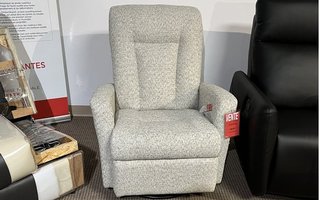 ELRAN Swivel and Recliner Rocking Chair