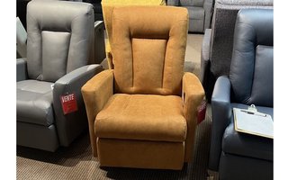 ELRAN Swivel and Recliner Rocking Chair