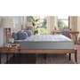 Julien mattress firm 60 inch by Sealy