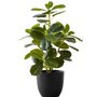 Accent Design decorative plant - MR I-9585A