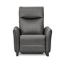 Motorized Reclining Chair with Power Headrest by Elran