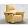Power Glider Rocker Recliner Leather Armchair with power Headrest by Elran