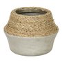 Nature Milk Jug Grass and Concrete Pot by LH Imports - L3 PAT019