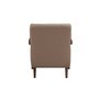 Accent Chair Leather