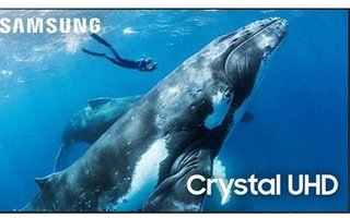 98'' Crystal UHD  4K Smart television by Samsung