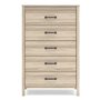 Battelle 5-Drawer Chest (EB3929-245)