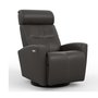 Power Rocking and Swivwl Reclining Armchair in leatherby Fjords-Small