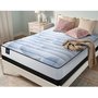 Aveline Sealy Mattress Medium Queen Size 60 in.