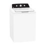 GE 4.4 cu ft Top-Load Washer with Dual Action Agitator, Cold-Plus Cycle & Auto Dispensers – GTW334BMRWS