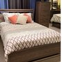 Ashley Queen Bed with 5-Drawer Chest