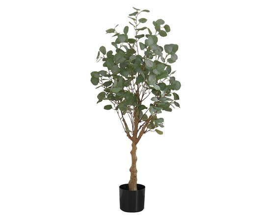 Decorative Plant Accent Design