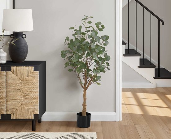 Decorative Plant Accent Design