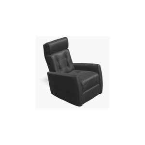 BALTIC II Swivel Glider Power Recliner w/Power Headrest in leather combo by Palliser