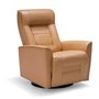 Swivel Recliner and Motorized Glacier Bay Chair by Palliser.