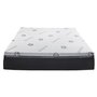 Eagle Accent Pedic Mattress Queen Size 60 in.