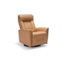 Swivel Recliner and Motorized Glacier Bay Chair by Palliser.