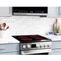 Danby 24-Inch Electric Range - DRCA240BSSC