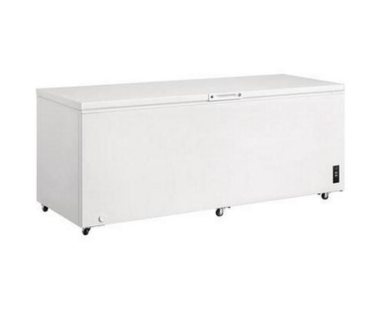 Frigidaire 24.8 Cu.Ft. Chest Freezer - FFCL2542AW