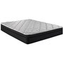 Nassau Accent Pedic Mattress Queen Size 60 in.