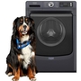 Maytag 5.0 Cu. Ft. Front Load Washer With Pet Pro Option - MFW7020RF
