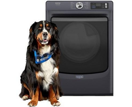 Maytag 7.4 Cu. Ft. Gas Dryer With Pet Pro Option - MGD7020RF