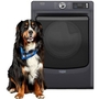 Maytag 7.4 Cu. Ft. Gas Dryer With Pet Pro Option - MGD7020RF