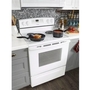 Amana 30In Freestanding Electric Range - YACR4303MFW