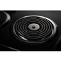 Amana 30-Inch Freestanding Electric Range - YACR4303MMS